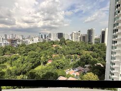 The Draycott (D10), Apartment #441966801